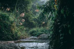 BIB: 
                            <button type="button" onclick="openModal(13716629)" class="btn btn-primary btn-sm float-right btn-popup" data-toggle="modal" data-target=".modal-high-quality">
                        <i class="fas fa-shopping-cart"></i> Add to Cart
                    </button>
                                            <button type="button" onclick="isThisMe(13716629, true)" class="btn btn-success btn-sm float-right btn-popup btn-isme hidden" data-toggle="tooltip" data-placement="bottom" title="นี่คือรูปของคุณใช่ไหม คลิกที่นี่เพื่อเอาเข้าอัลบั้ม">
                        <i class="fas fa-plus"></i> Add to album
                    </button>
                    <button type="button" onclick="isThisMe(13716629, false)" class="btn btn-warning btn-sm float-right btn-popup btn-isnotme hidden">
                        <i class="fas fa-ban"></i> Remove from album
                    </button>